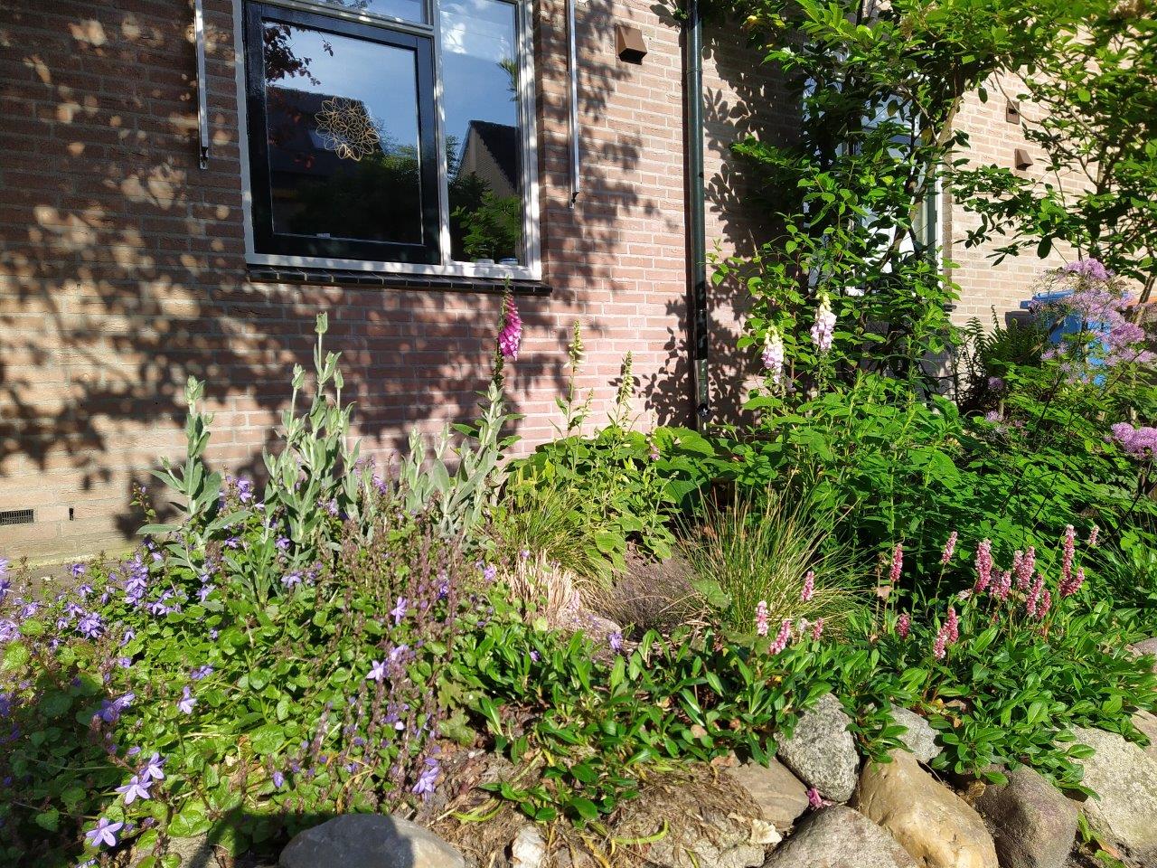 Beplanting voortuin De Vier Akkers Beplanting voortuin De Vier Akkers