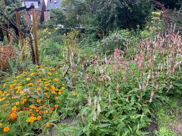 Tuin bij Huis Miereveld