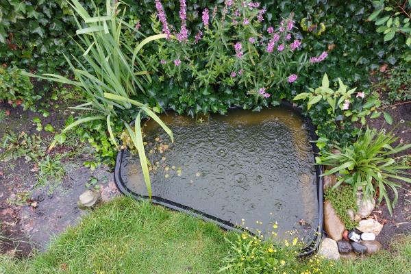 vijverbak en wadi Lorentzstraat